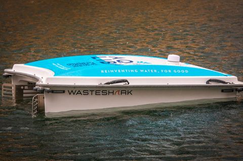 Wasteshark