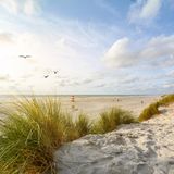 Dänemark landet mit dem zweiten Platz auch auf dem Siegertreppchen der glücklichsten Länder der Welt. Unser Nachbarland landet mit einem leicht geringeren Bruttoinlandsprodukt und minimal weniger wahrgenommener Entscheidungsfreiheit knapp hinter Finnland. Dafür empfinden die Dänen etwas mehr Großzügigkeit in ihrem Land. 