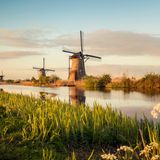 Auch die Niederländer gehören zu den glücklichsten Menschen der Welt. Unser Nachbarland punktet vor allem mit Entscheidungsfreiheit und einem stabilen Bruttoinlandsprodukt. Und auch die Tatsache, dass in den Niederlanden kulturreiche Städte wie Amsterdam und Rotterdam auf beliebte Badeorte wie Scheveningen oder Calantsoog treffen, könnte zur Zufriedenheit der Niederländer beitragen. 