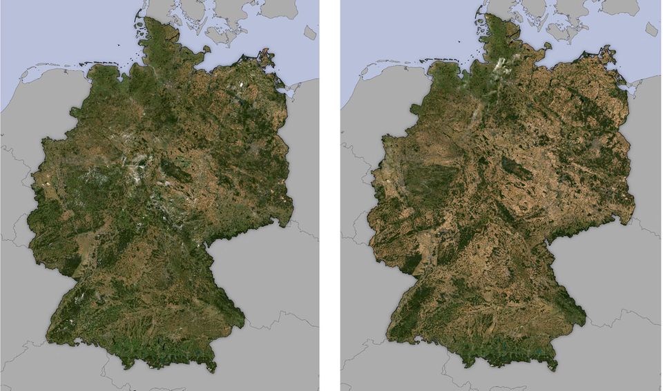 W lder Satellitenbilder Zeigen Wie Bedroht B ume Weltweit Sind STERN de