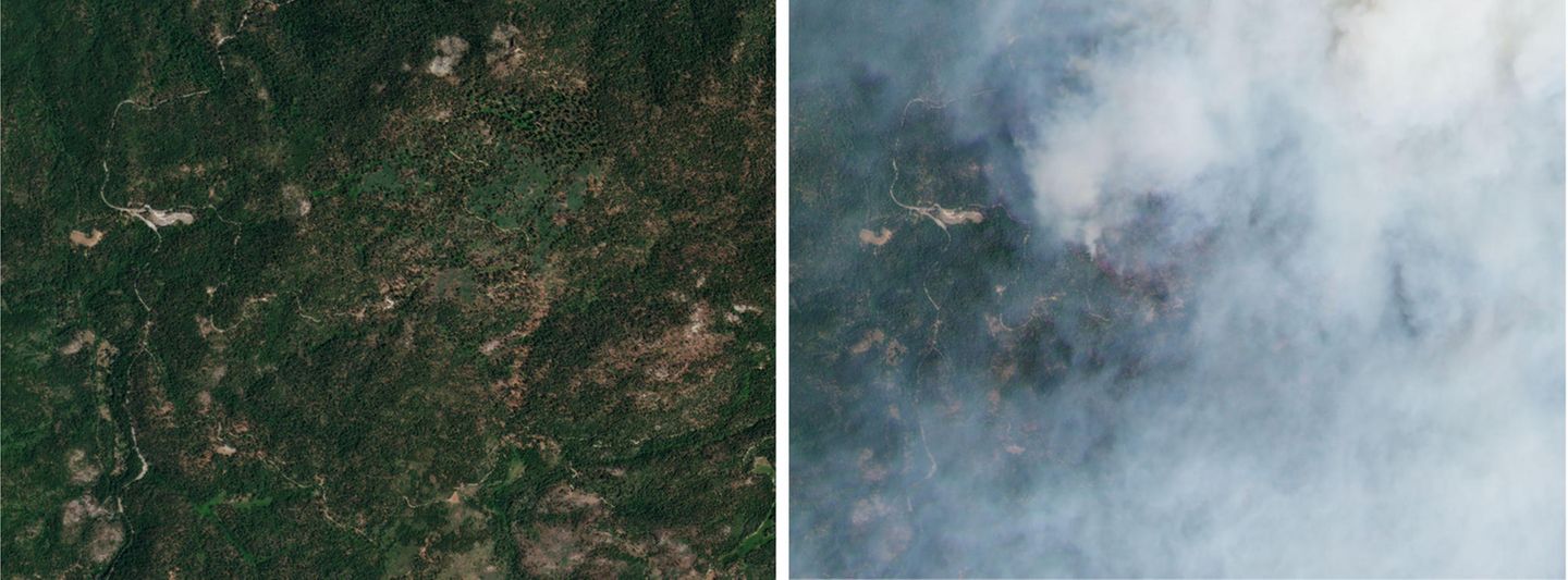 Zwei Satellitenbilder von Wäldern von oben. Auf einem ist Rauch zu sehen, weil ein Waldbrand gelöscht wird.