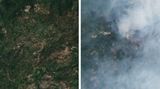 Zwei Satellitenbilder von Wäldern von oben. Auf einem ist Rauch zu sehen, weil ein Waldbrand gelöscht wird.