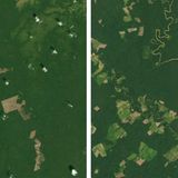 Im kolumbianischen Amazonasgebiet zeigen Aufnahmen von 2017 bis 2021 Veränderungen der Waldbedeckung