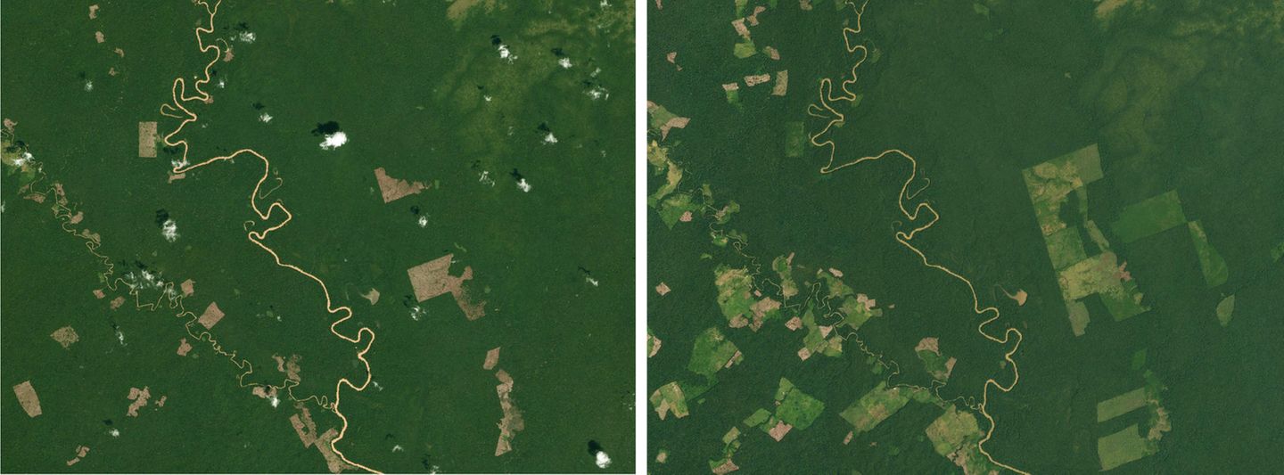 Im kolumbianischen Amazonasgebiet zeigen Aufnahmen von 2017 bis 2021 Veränderungen der Waldbedeckung Im kolumbianischen Amazonasgebiet zeigen Aufnahmen von 2017 bis 2021 Veränderungen der Waldbedeckung