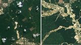 In Ghana fressen sich illegale Goldminen entlang der Flüsse in den Regenwald (links 2019, rechts 2022) 