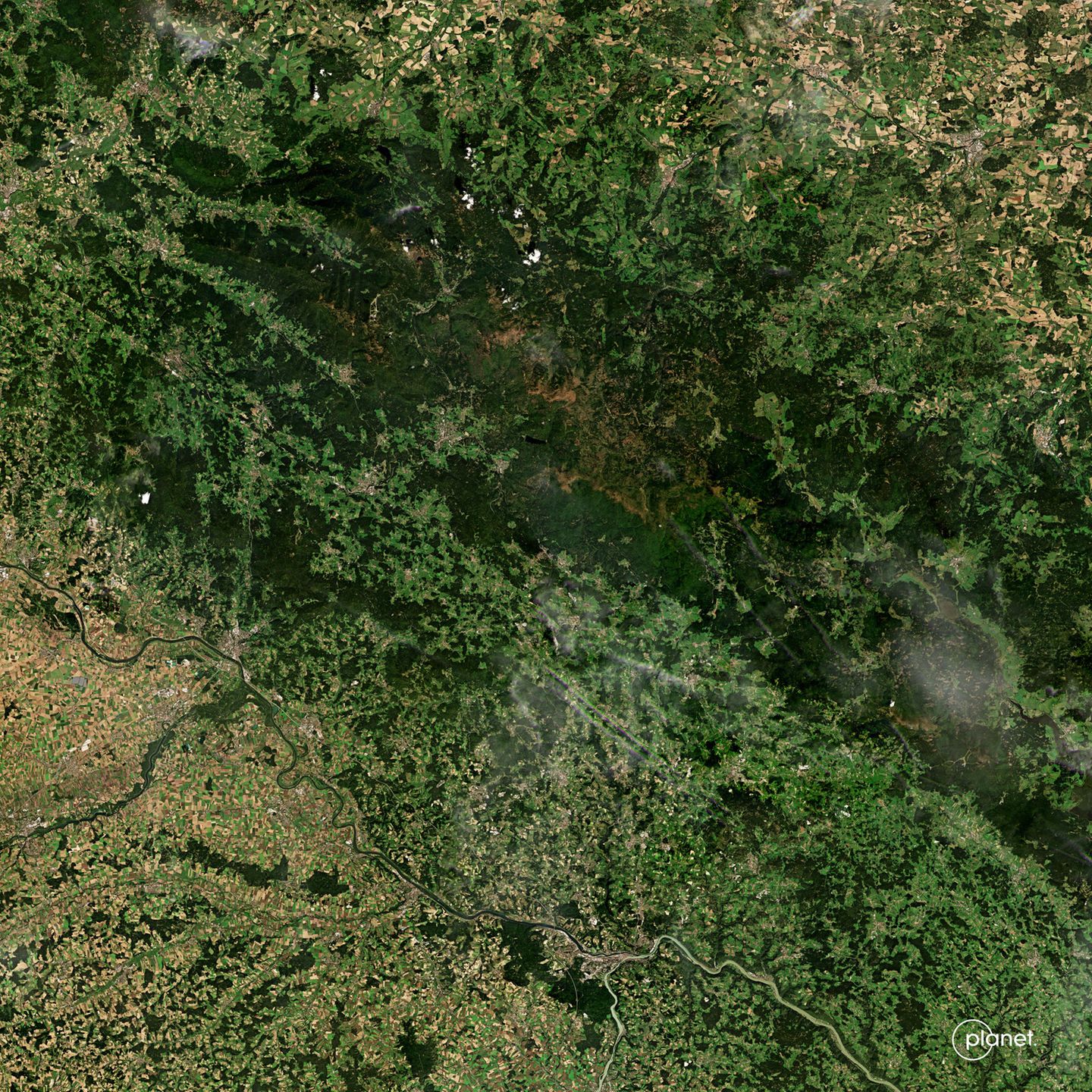 Satellitenaufnahme eines Waldgebietes