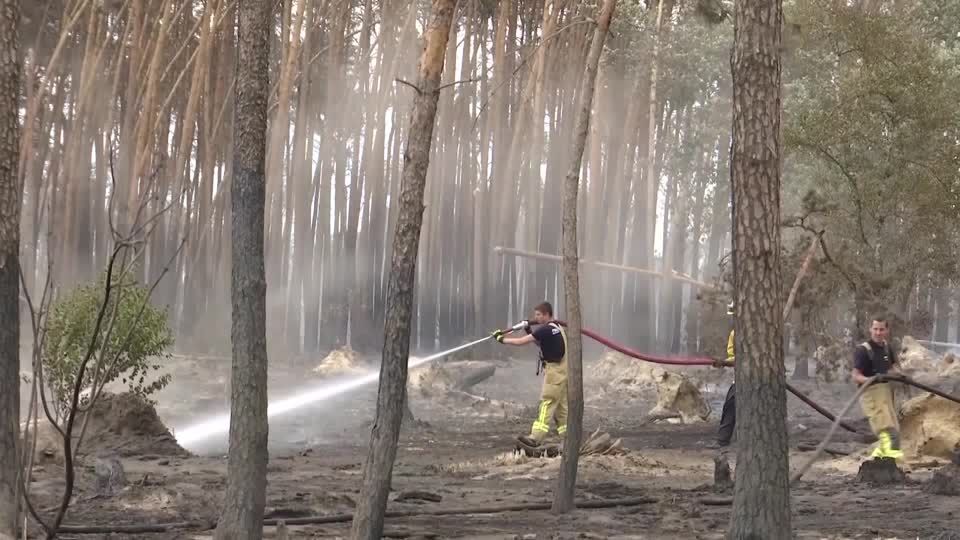 Video: Özdemir: "Unser Wald hat Fieber"