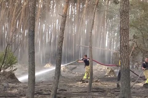 Video: Özdemir: "Unser Wald hat Fieber"
