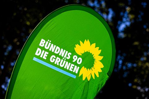 die grünen