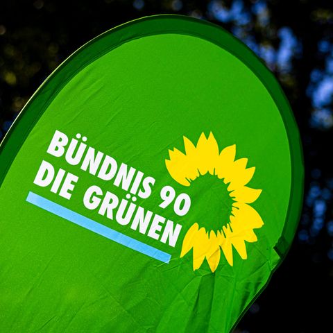 die grünen