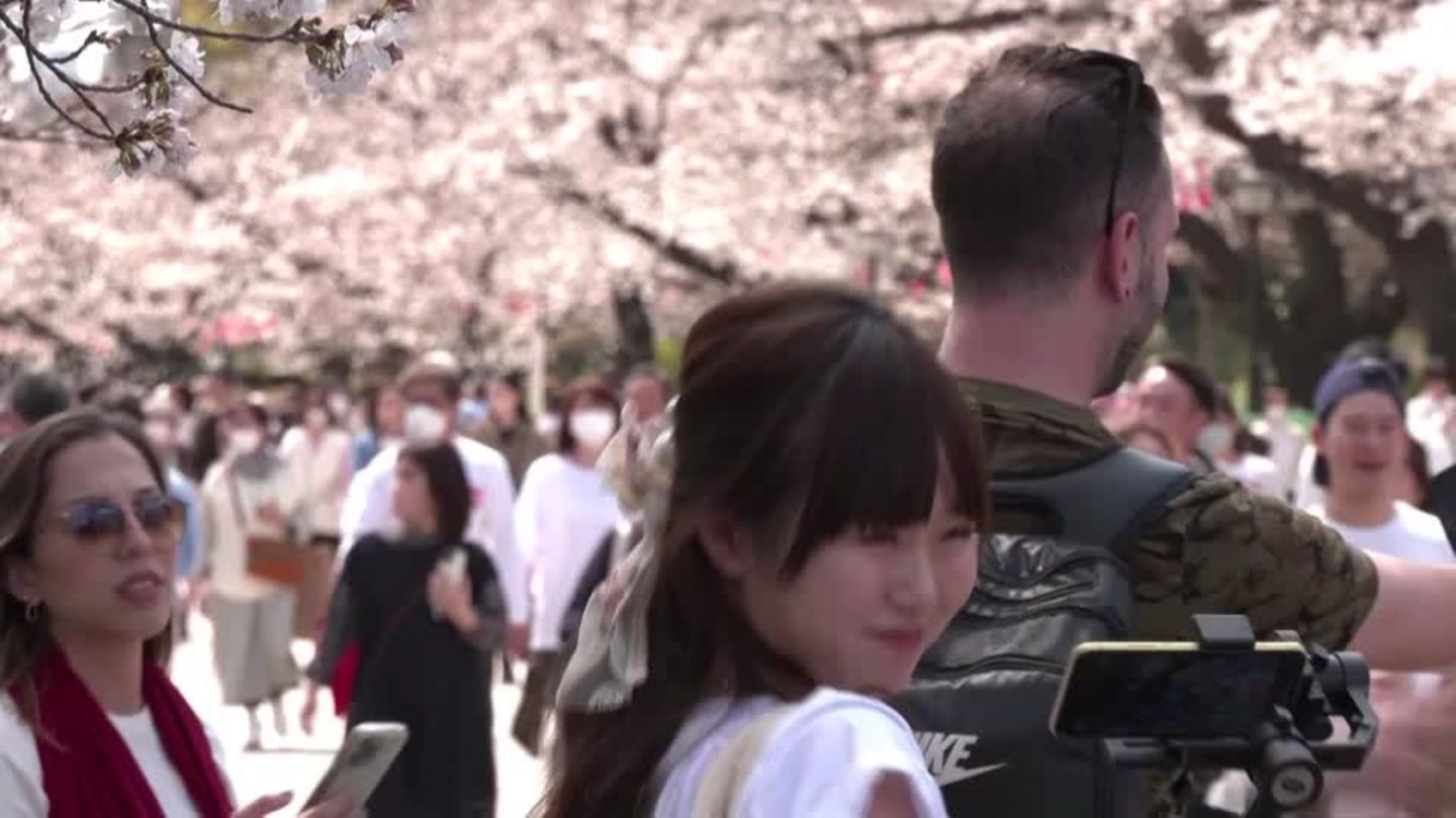  Video: Tokio feiert Kirschblütenfest 