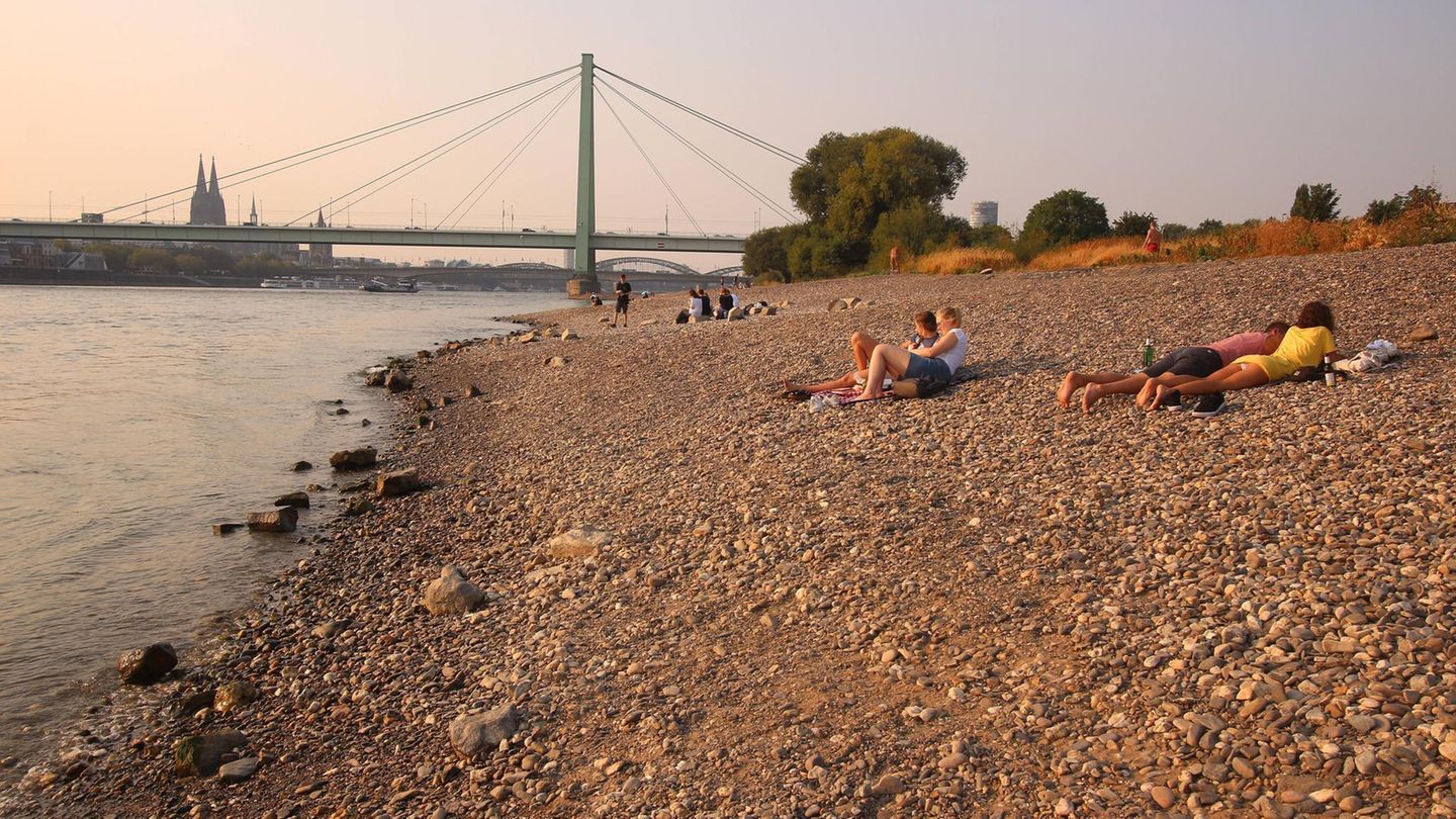 Niedrigwasser mit ausgetrocknetem Flussbett im Rhein an der Poller Auen in Köln