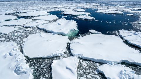 Antarktis: Der Klimawandel hat zu einem starken Abschmelzen der Gletscher geführt