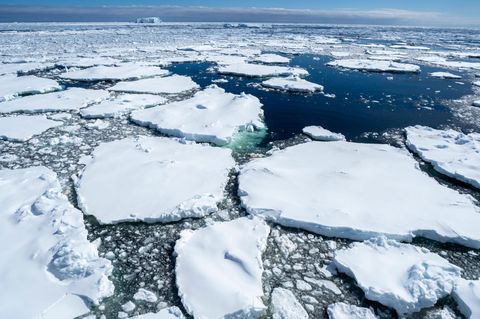 Antarktis: Der Klimawandel hat zu einem starken Abschmelzen der Gletscher geführt