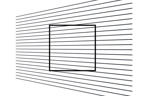 Illusion: Optische Täuschung: Welche Form sehen Sie?