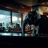 Es ist unglaublich, wie gut die KI Lichtstimmungen nachbilden kann. Wie hier: ein Elefant hinterm Tresen einer kleinen Bar.