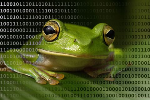 Midjourney und ChatGTP: Wie Künstliche Intelligenz Bilder erstellt – und wie wir diese künftig von echten unterscheiden können