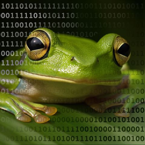 Midjourney und ChatGTP: Wie Künstliche Intelligenz Bilder erstellt – und wie wir diese künftig von echten unterscheiden können