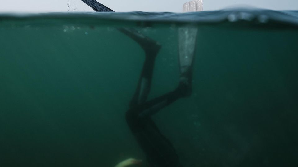 27. März: Abgetaucht Dakar, Senegal. Ein Speerfischer taucht im seichten Wasser vor der Küste der Hauptstadt des Landes. Fisch ist dort ein Grundnahrungsmittel, für die heimischen Fischer, die per Hand auf die Jagd gehen, wird es jedoch immer schwieriger, etwas zu fangen. Internationale Fischereiboote, die in die Nähe der senegalesischen Küste ihre Netzte auswerfen, haben die Bestände stark zurückgehen lassen.