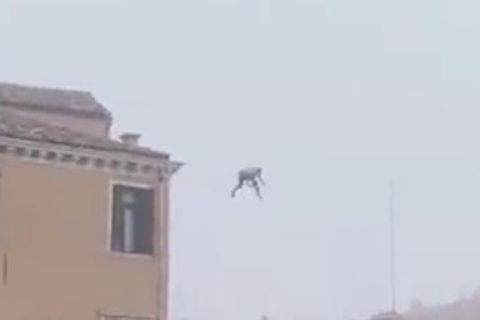 Mann springt von Hausdach in Venedig