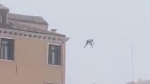 Mann springt von Hausdach in Venedig