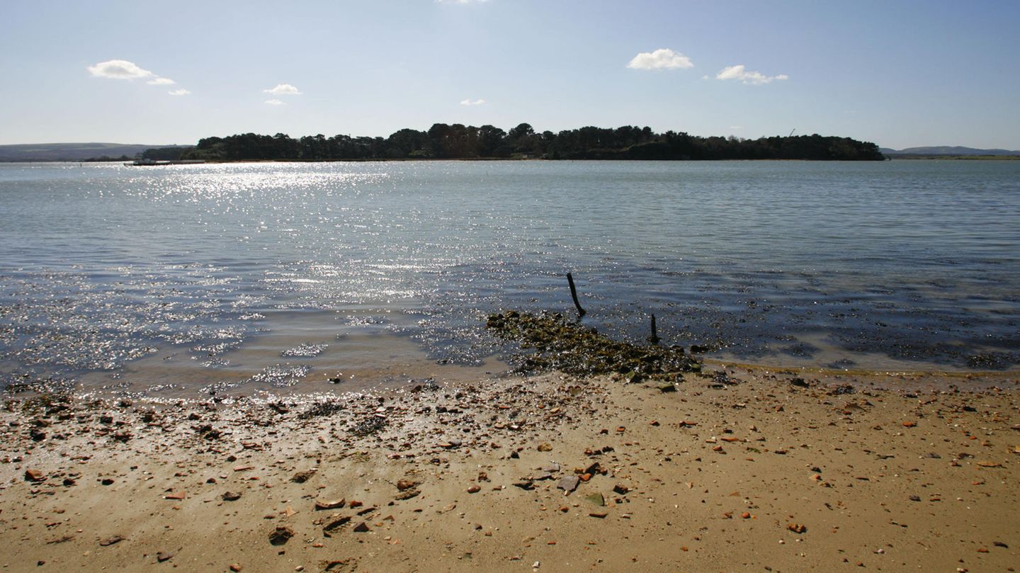 Ein Blick auf Furzey Island im Hafen von Poole, England. Die Insel ist heute Teil des Wytch Farm-Ölfelds