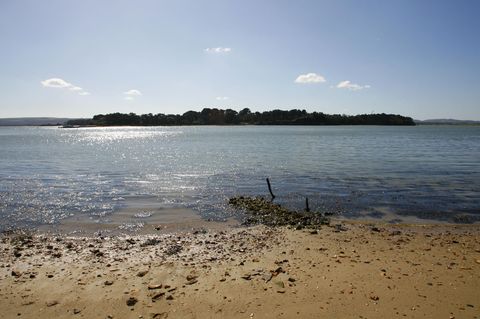 Ein Blick auf Furzey Island im Hafen von Poole, England. Die Insel ist heute Teil des Wytch Farm-Ölfelds