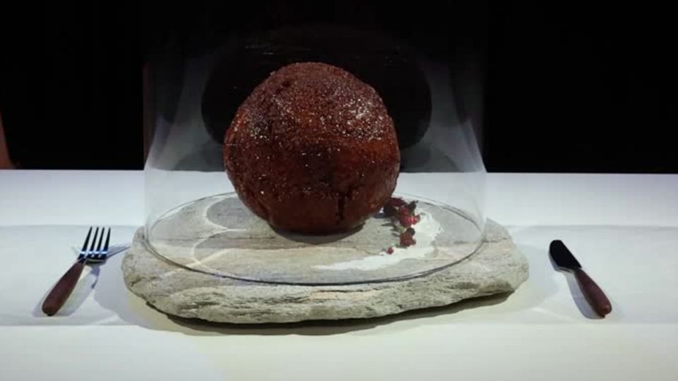 Vor 4000 Jahren ausgestorben: Aus Mammut-DNA gezüchtet: Forscher stellen besonderen Fleischball vor