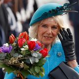 Charles III. in Deutschland