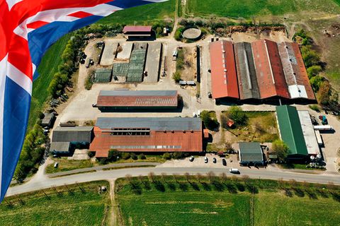 Am Donnerstag ist König Charles im Ökodorf Brodowin 70 Kilometer nördlich von Berlin zu Besuch – dem ältesten Biobauernhof Ostdeutschlands
