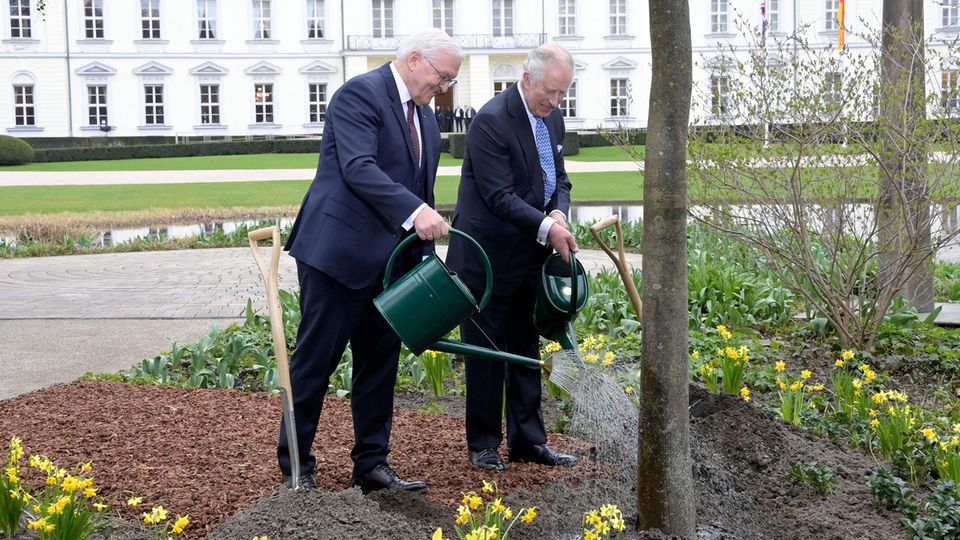 Bundespräsident Frank-Walter Steinmeier und König Charles III. pflanzen einen Baum