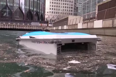 Video: Ein Hai, der Plastik frisst