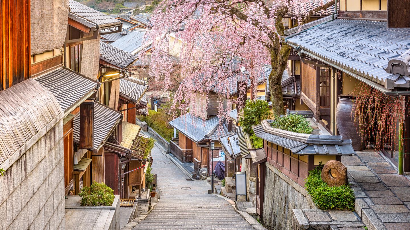 Wer nach Japan reist, der landet in einer völlig anderen Kultur. Grund genug für viele Menschen, ihren Urlaub in dem asiatischen Land zu verbringen. Auch ChatGPT hat Japan auf dem Schirm: "Bekannt für seine Kultur, Geschichte, Technologie, Architektur und köstliche Küche." 