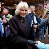 Charles III. in Deutschland