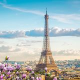 Paris als die Stadt der Liebe, die Filmmetropole Cannes oder die Normandie – Frankreich bietet viele Möglichkeiten für eine abwechslungsreiche Reise. Laut ChatGPT ist unser Nachbarland im Westen außerdem "bekannt für seine Kultur, Mode, Kunst und Küche, sowie beeindruckende Architektur und wunderschöne Landschaften."