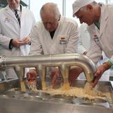 Charles III. in Deutschland