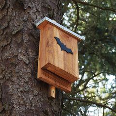 Fledermausbox in Baum