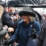 Charles III. in Deutschland