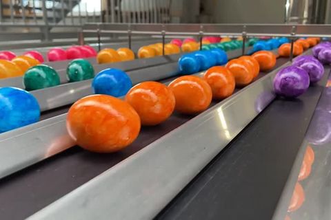 Video: Am laufenden Band: Eierfabrik färbt 300.000 Eier am Tag