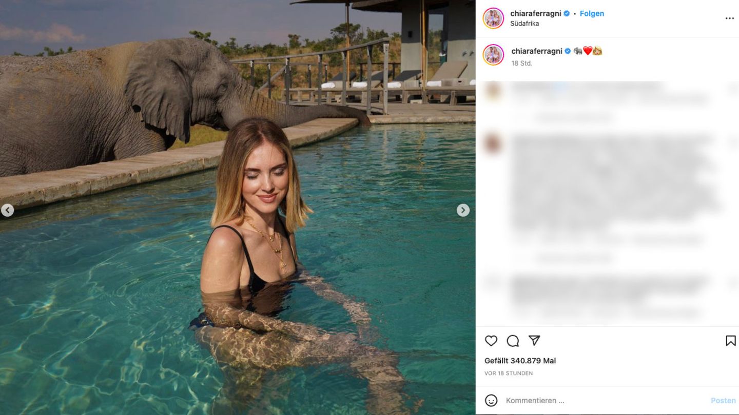 People of today: One pool is another’s drink: An elephant drinks model Chiara Ferragni’s bath water away