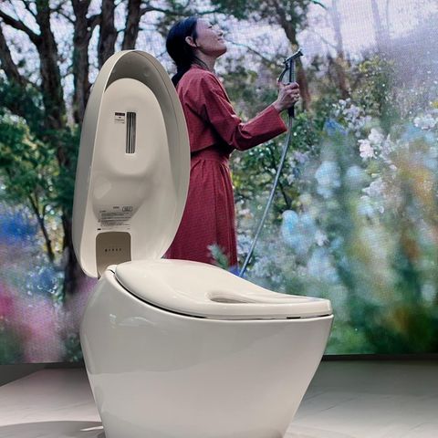 Dusch-WC aus Japan