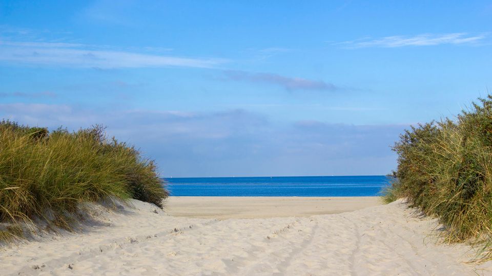 Renesee Strand Niederlande