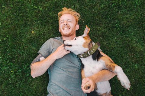 Manchmal ist der innere Schweinehund eine ganze Schweinehundfamilie ...