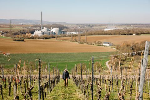 "Wir sind halt das Atomdorf": Bürgermeister Jochen Winklerin einem Weinberg am Kernkraftwerk