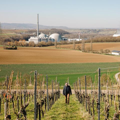 "Wir sind halt das Atomdorf": Bürgermeister Jochen Winklerin einem Weinberg am Kernkraftwerk