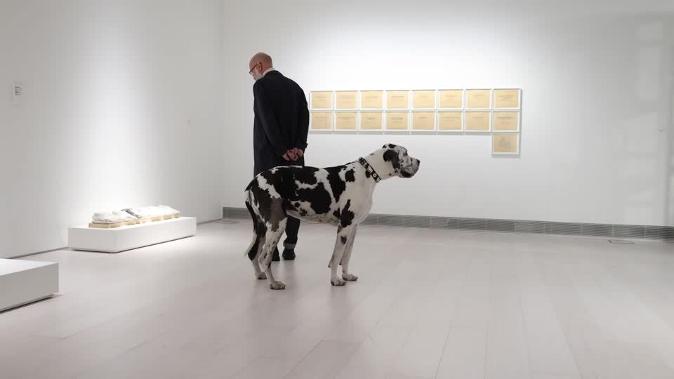 Athen: Gassigehen im Museum: Diese Kunst ist "Wau"!