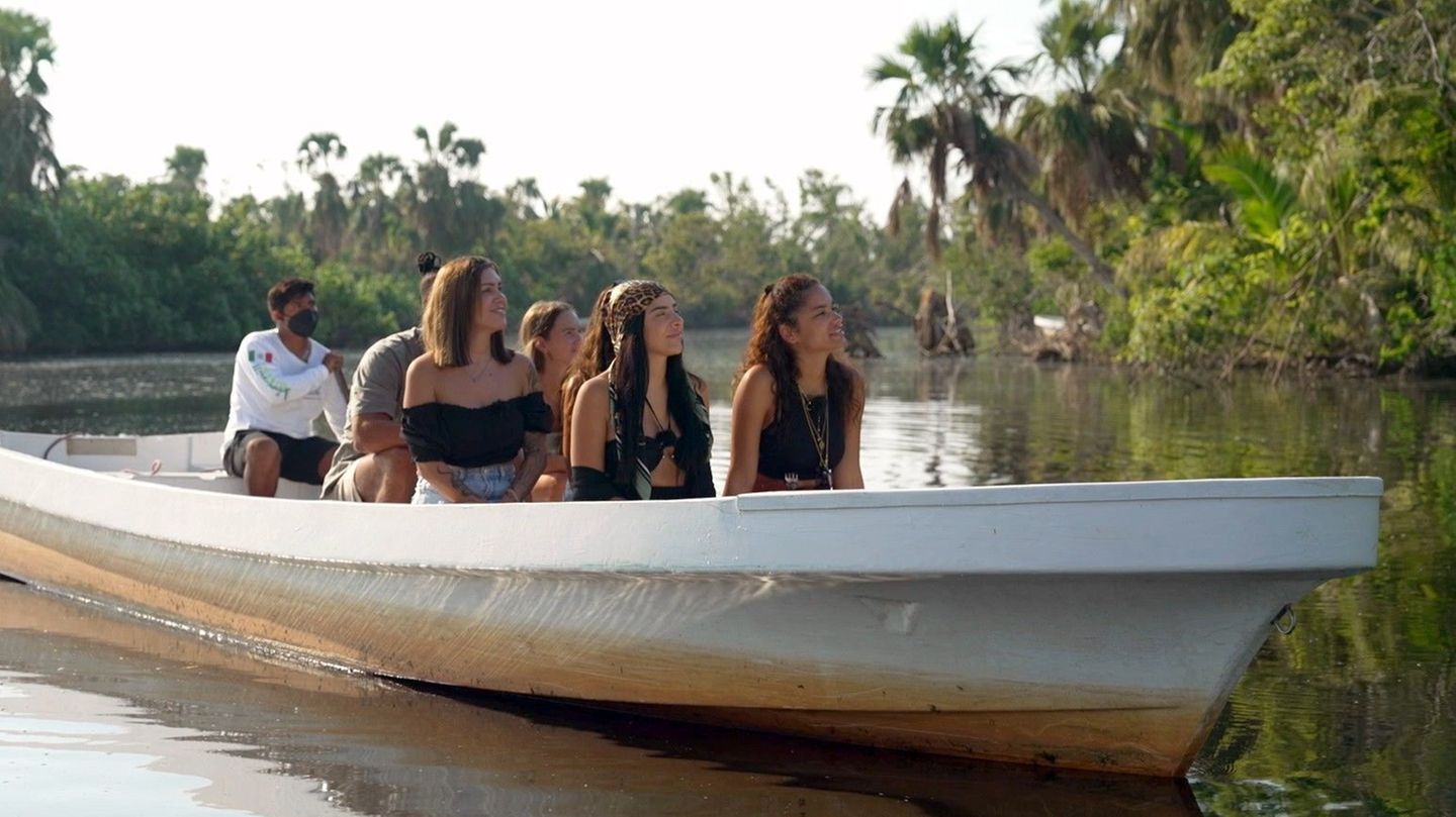 Die Reisegruppe Bachelor auf der verzweifelten Suche nach exotischem Getier
