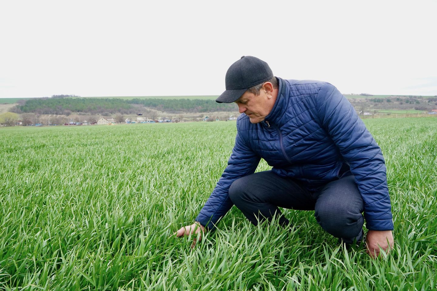 Der ukrainische Landwirt Jalowtschuk auf einem seiner Weizenfelder