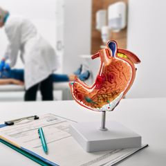 Gastroenterologische Erkrankungen: Das sind ausgezeichnete Rehakliniken aus dem Bereich 