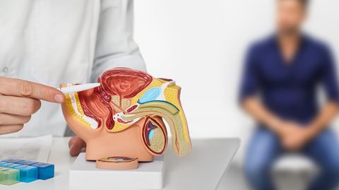 Urologische und Nephrologische Erkrankungen: Das sind ausgezeichnete Rehakliniken aus dem Bereich 